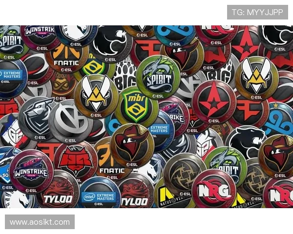 WE战队在CSGO中的转型历程与成败分析